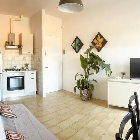Quelli Della Notte A La Mazzanta By Zoom In Earth Apartment